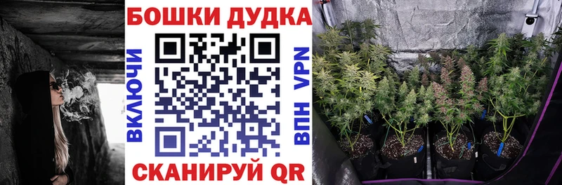 МАРИХУАНА White Widow  Ясногорск 